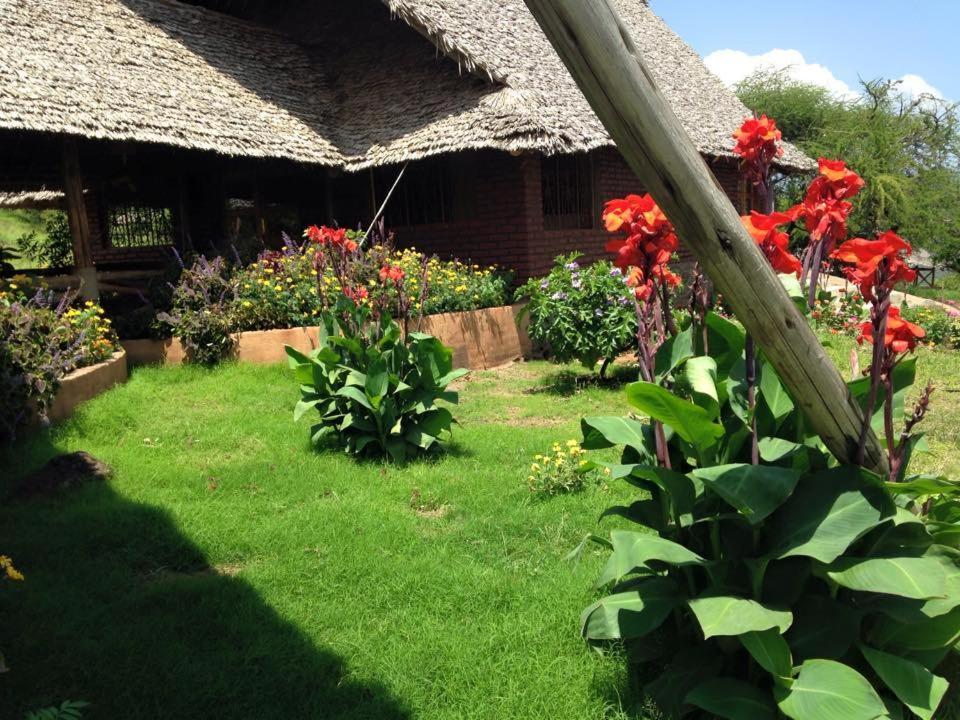 African Sunrise Lodge And Campsite Mto wa Mbu Ngoại thất bức ảnh